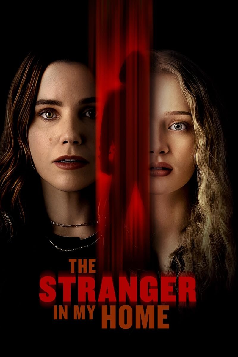 The Stranger in My Home (2025) คนแปลกหน้าในบ้านฉัน